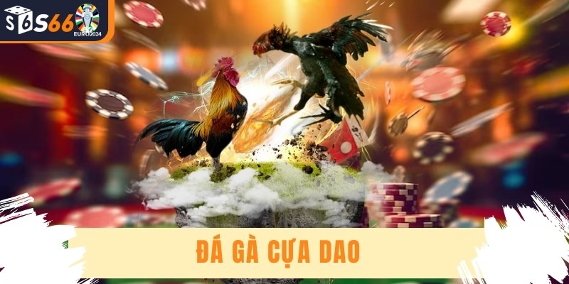 Đá Gà Cựa Dao - Kinh Nghiệm Chơi Hay Từ Chuyên Gia