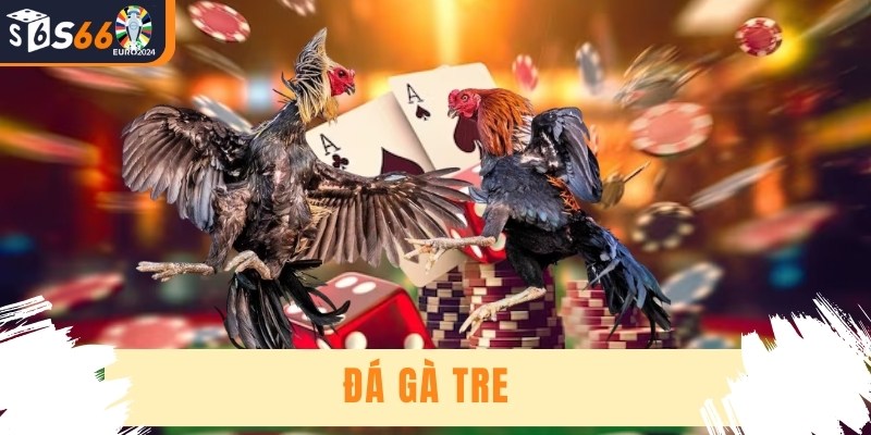 Đá Gà Tre - Trải Nghiệm Đỉnh Cao Cùng Nhà Cái Hàng Đầu