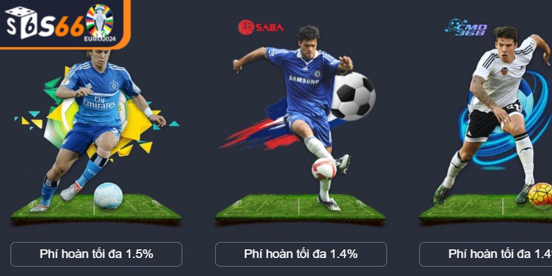 Hệ thống S66 đã xây dựng một nền tảng thể thao trực tuyến phong phú