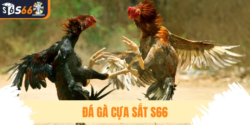 Đá Gà Cựa Sắt S66